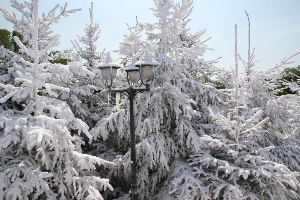 Snow spray for trees outdoor artificial snow, biodegradable fake snow UK, FX Live