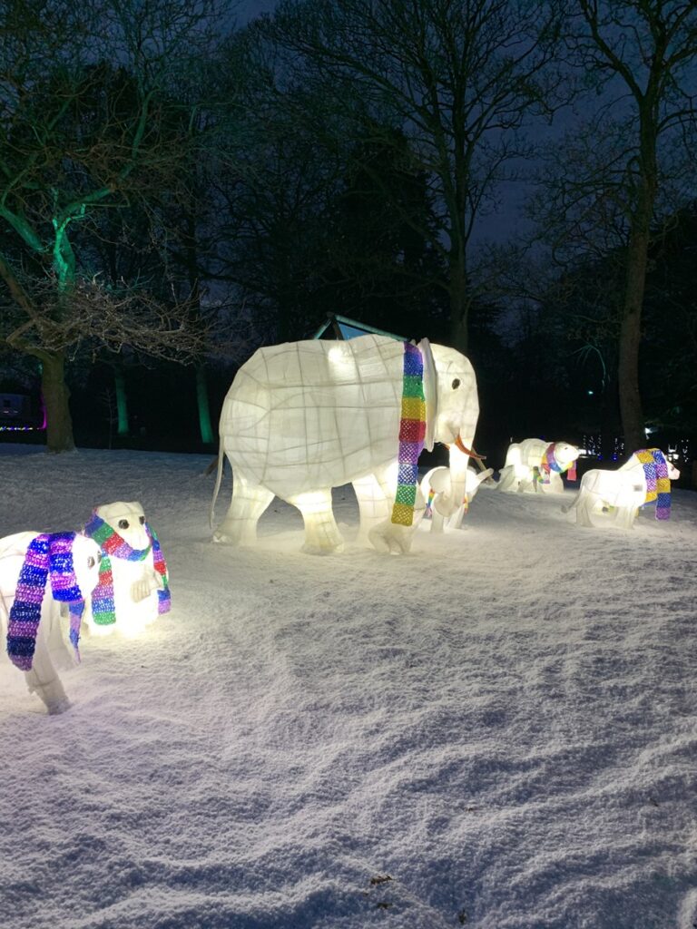 Image description
