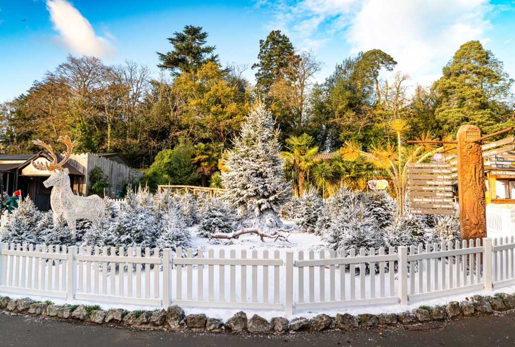 Outdoor dressed artificial snow